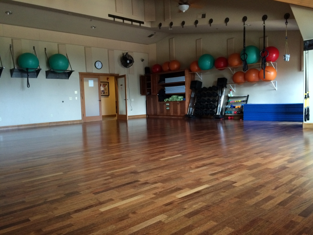 Spacious club studio with hardwood floor, shelves of stability balls, mats, hand weights, and suspension straps arranged for group classes promoting fitness, wellness, and community.